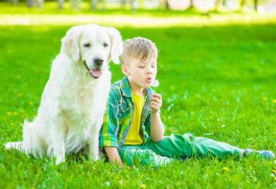 Мальчик сидит рядом с собакой и дует на одуванчик