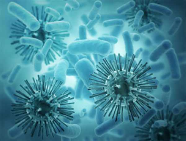 Макроскопическое изображение бактерий и вирусов