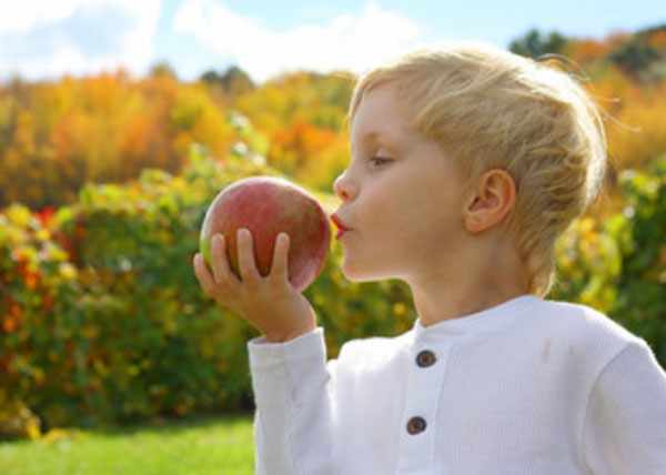 Мальчик на природе собирается укусить большое яблоко 