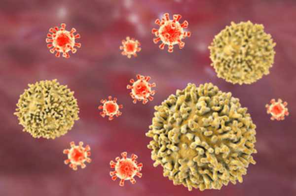 3D модель лимфоцитов и вирусов