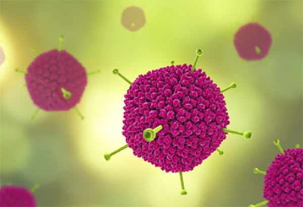 3D модель аденовируса
