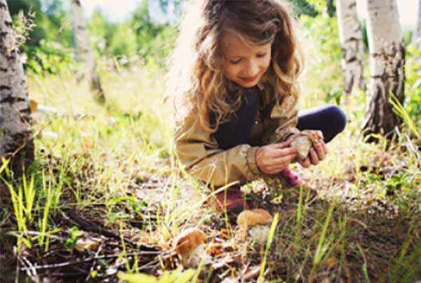 Девочка собирает грибы в лесу