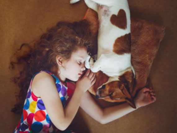 Девочка спит с собакой, лежат вальтом