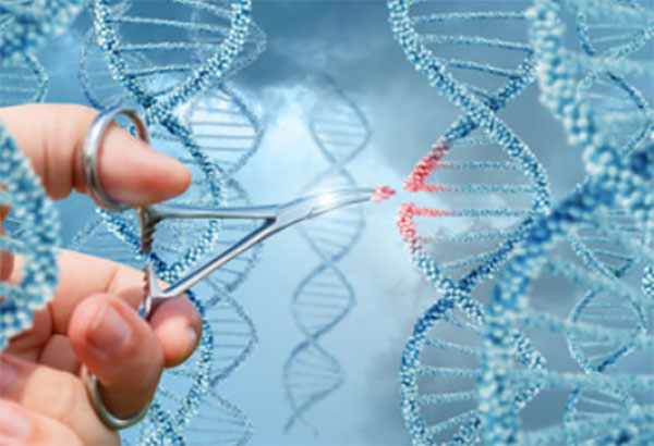 Ножницами чикают цепь ДНК