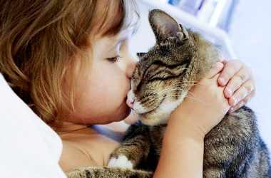Ребенок и кошка: правила поведения